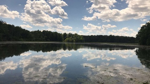 Header of itsnessa143