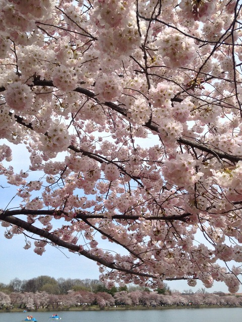 Header of itsrubyrubyru