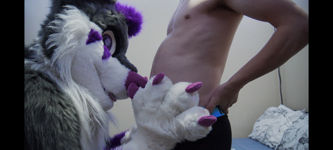 Header of jaro-wolf-fox-ad