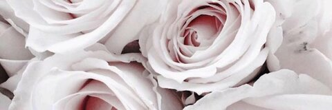 Header of jessicafleet