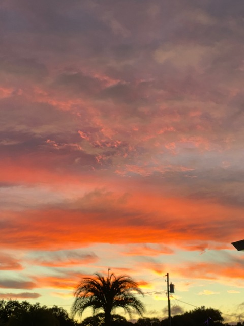 Header of kenyaagonzalez