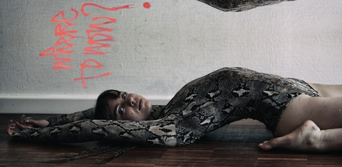 Header of kittenfever