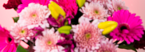 Header of kitty_kat98