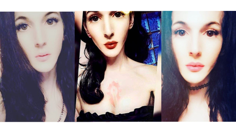 Header of kittykatvany