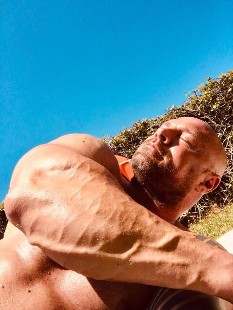 Header of leonardosa