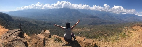 Header of linaresjesica