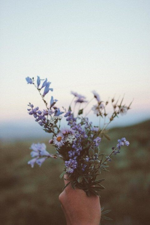 Header of litskibabe