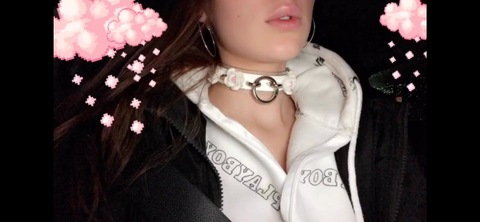 Header of littleshawty