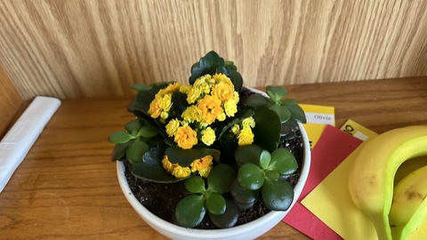 Header of liviaclarkeee