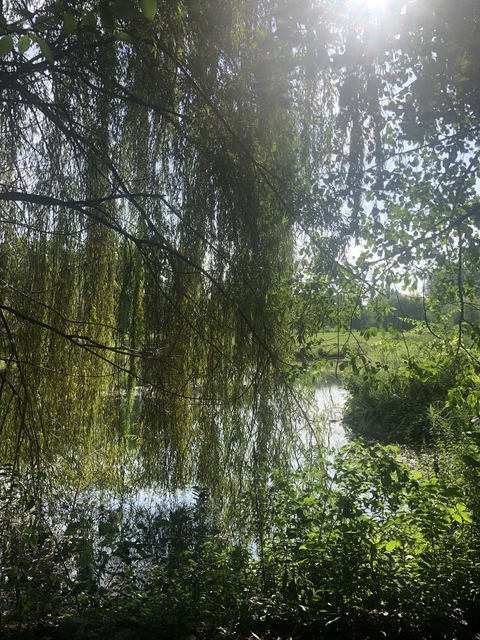 Header of logandelete