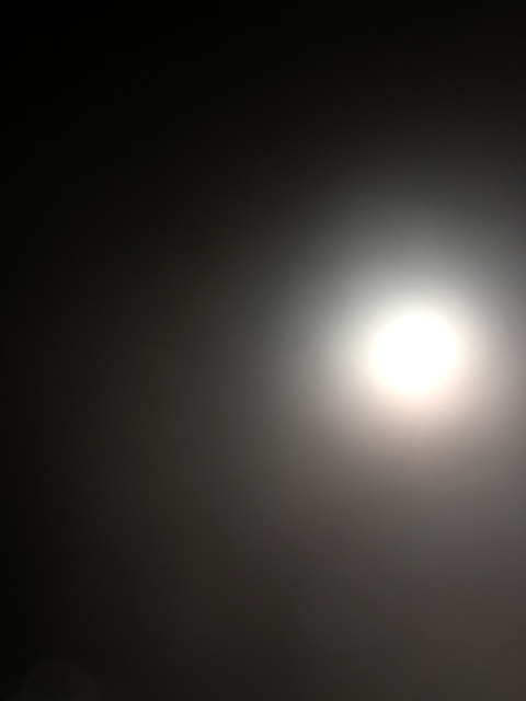 Header of longcockflacko