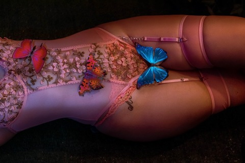 Header of lysandra.night