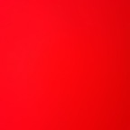 makeitreign profile picture