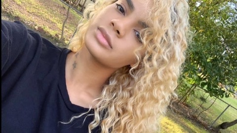 Header of meowcelina