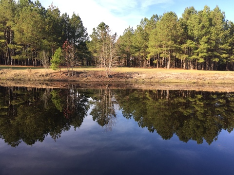 Header of metal-mermaiden