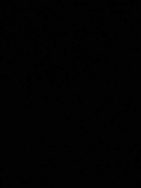 Header of milimysera