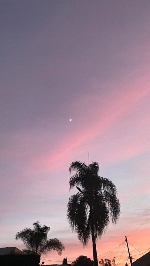 Header of minxiemelodie