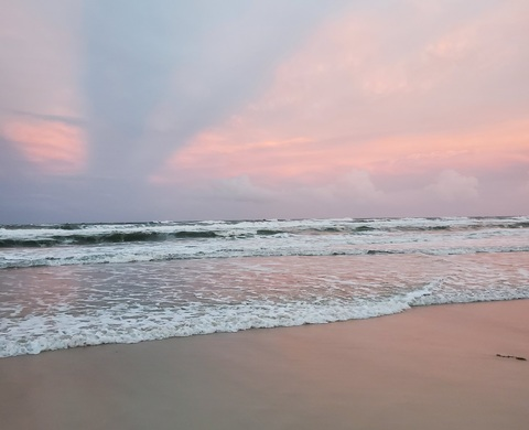 Header of missbrandi