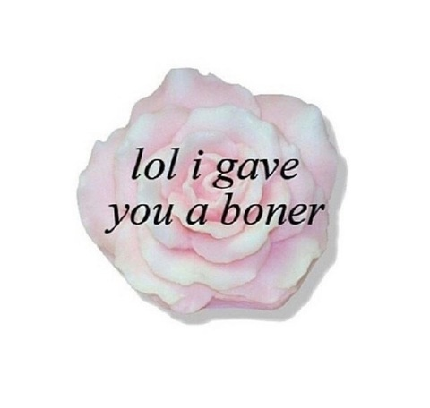 Header of mommamemes