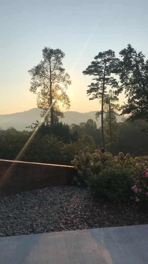 Header of nicolelynnn0