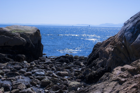 Header of niunaizai00