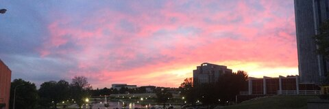 Header of nothing.but.noodz