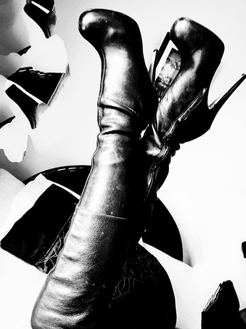 Header of nzdominatrix