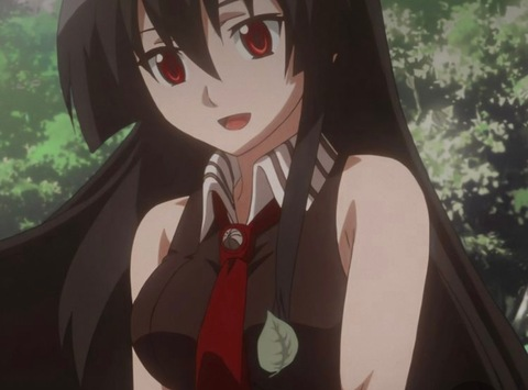 Header of petitelatina7