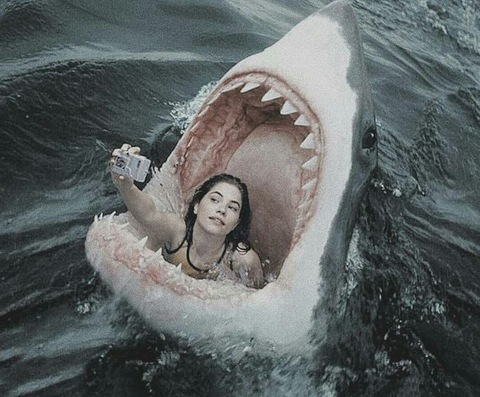 Header of ph0ebespeaches