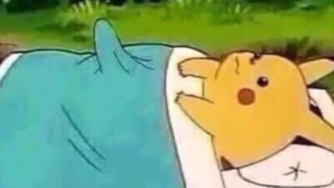 Header of pika_fuery