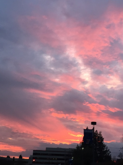 Header of promisepeach