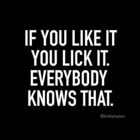 Header of quick-nick