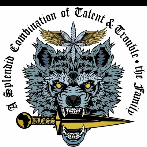 Header of quniversal9