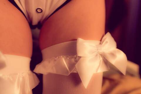 Header of rabbit33367