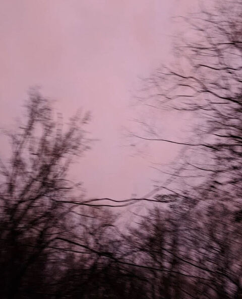 Header of ravenrotgut