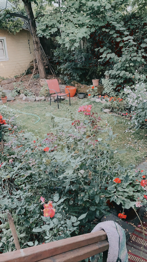 Header of saprophyte