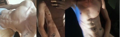 Header of satanicfalse