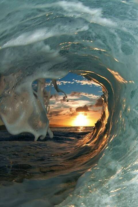 Header of schodaddy284