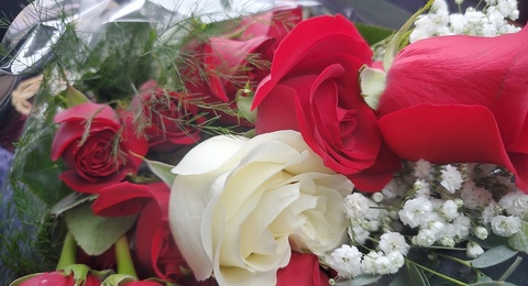 Header of sexkitten01