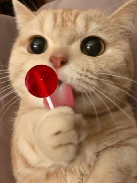 Header of sexygirl4200