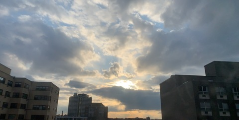 Header of shalenamarie