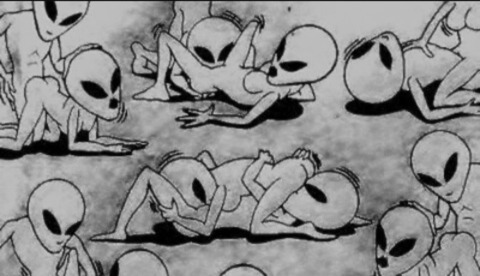 Header of sinkmyduck