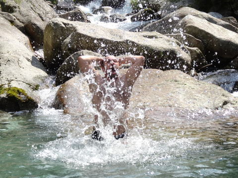 Header of sirredrock