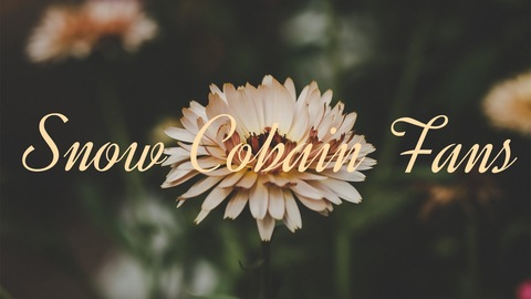 Header of snowcobain