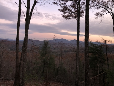 Header of stevesaint