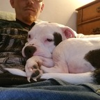 stonerguy666 profile picture