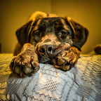 stuartalexander1776 avatar