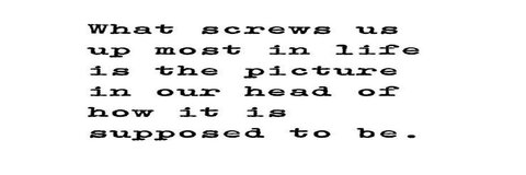 Header of switch.daddy