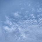 tangoguy13 profile picture