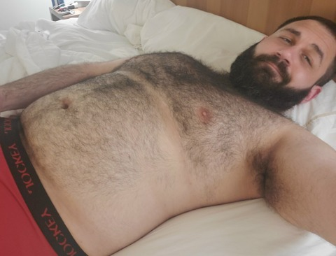 Header of teddytalkz